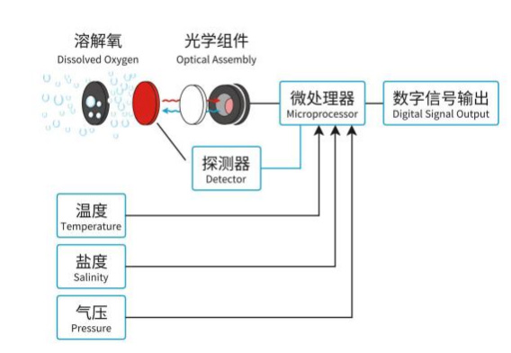 在线荧光法溶解氧传感器工作原理